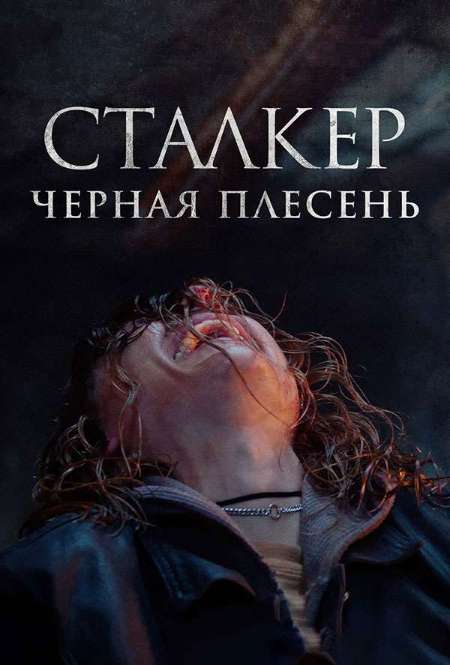 Постер. Фильм Сталкер. Черная плесень