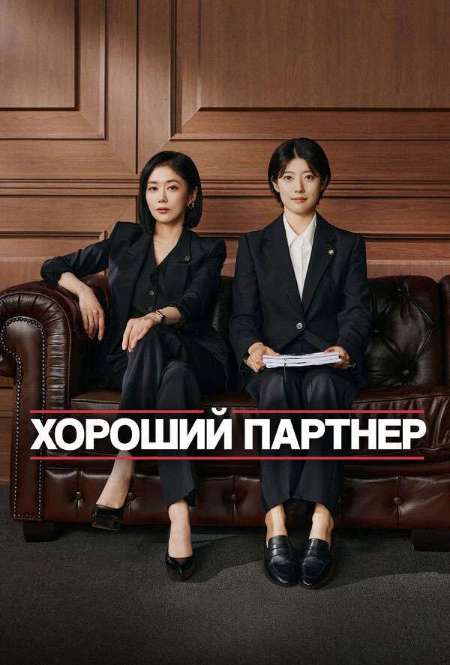 Постер. Сериал Хороший партнер