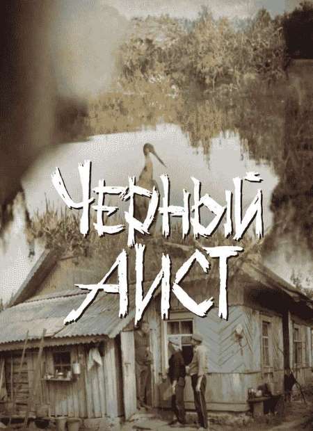 Постер. Фильм Черный аист