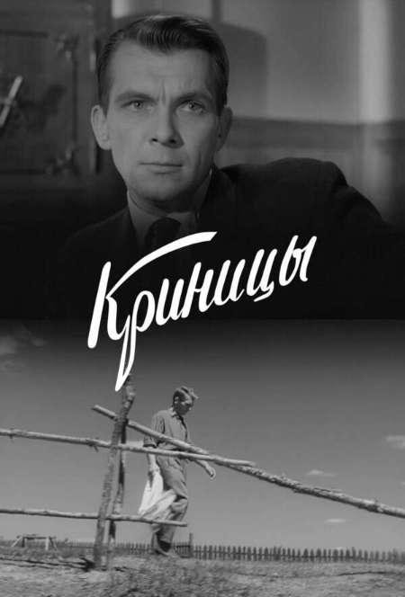 Постер. Фильм Криницы