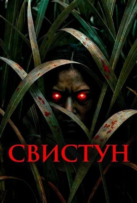 Постер. Фильм Свистун