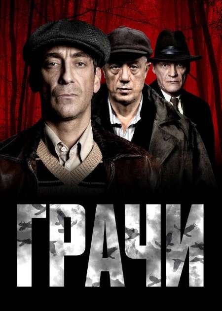 Постер. Сериал Грачи