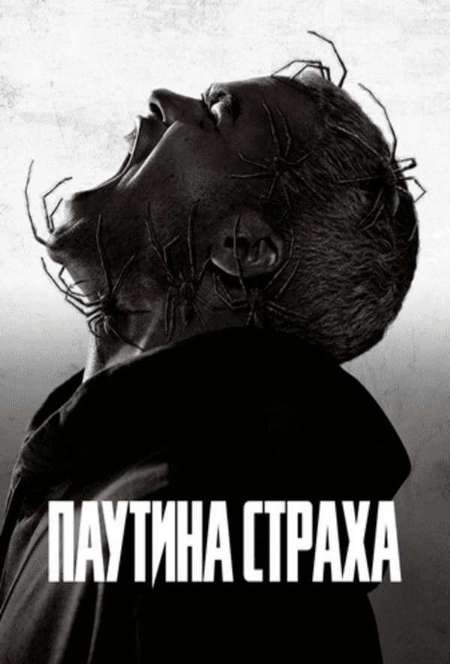 Постер. Фильм Паутина страха
