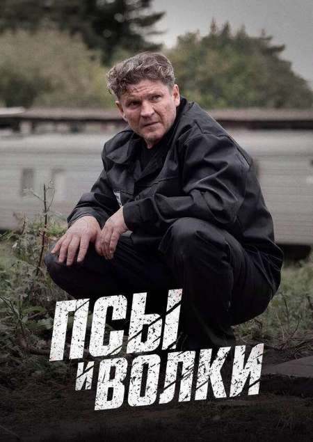 Постер. Сериал Псы и волки