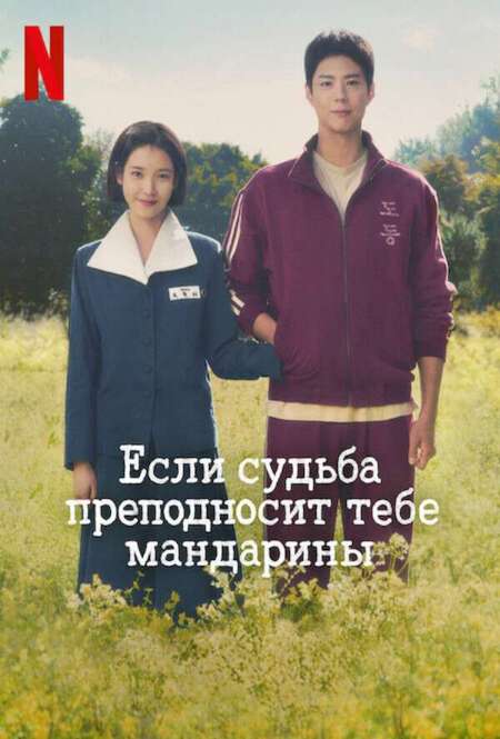 Постер. Сериал Если судьба преподносит тебе мандарины