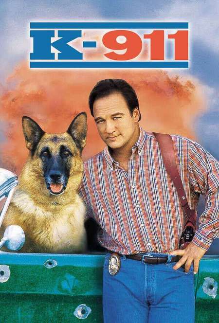 Постер. Фильм K-911
